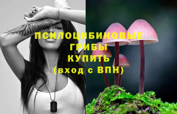 трава Абаза
